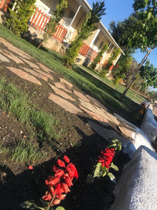 Bahçem Apart - Görsel 5