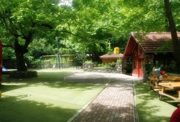 Yayla Alabalık Restaurant ve Butik Otel - Görsel 3