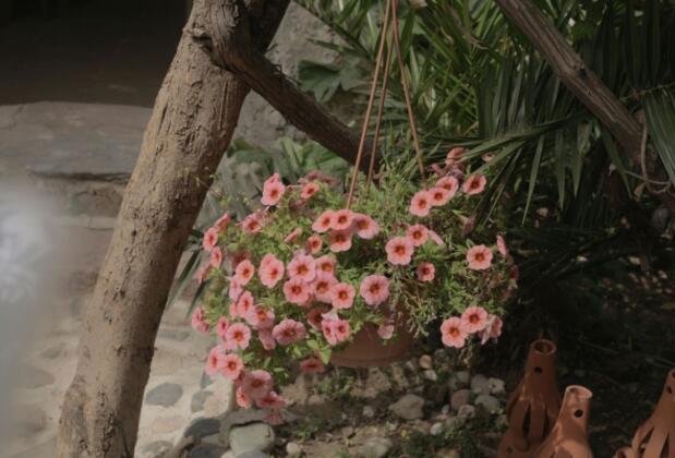 Zeytuna Hotel - Görsel 36