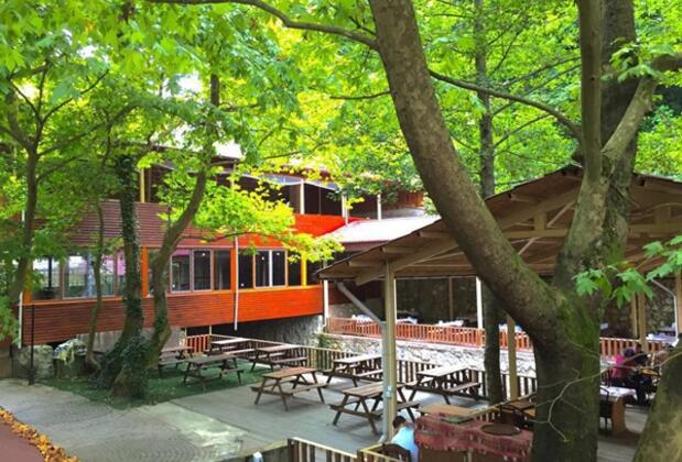 Yayla Alabalık Restaurant ve Butik Otel - Görsel 13