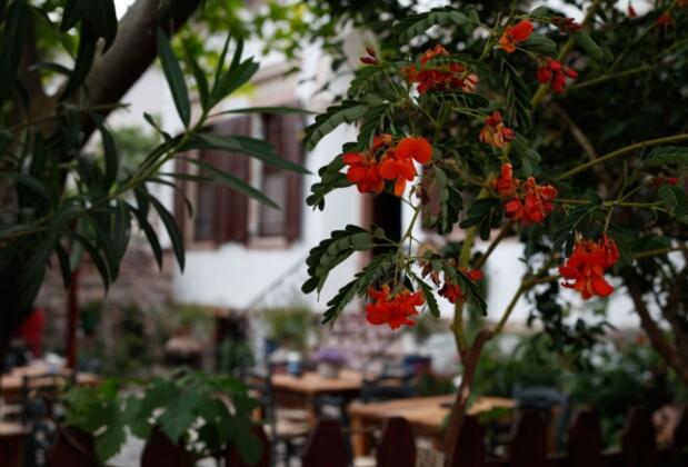 Zeytuna Hotel - Görsel 37