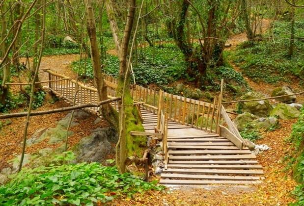 Yayla Alabalık Restaurant ve Butik Otel - Görsel 21