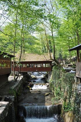 Yayla Alabalık Restaurant ve Butik Otel - Görsel 10