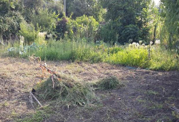 Koç Pansiyon - Görsel 11