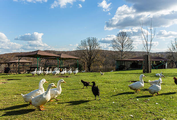 Miranda Garden Hotel - Görsel 41