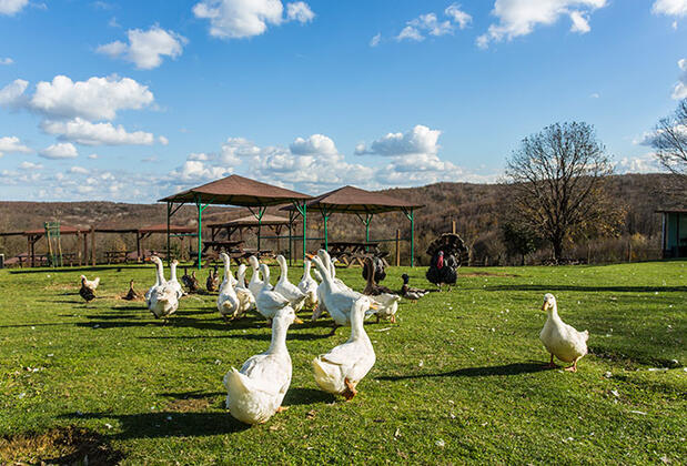 Miranda Garden Hotel - Görsel 38