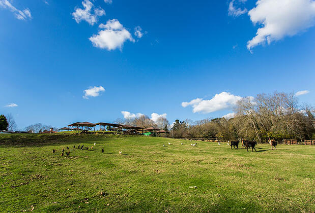 Miranda Garden Hotel - Görsel 43