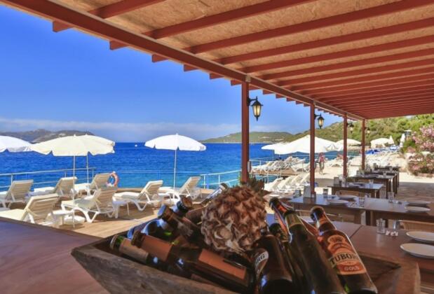 Kedi Apart - Görsel 4