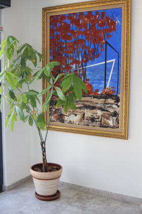 Bellapais Oasis Hotel - Görsel 26