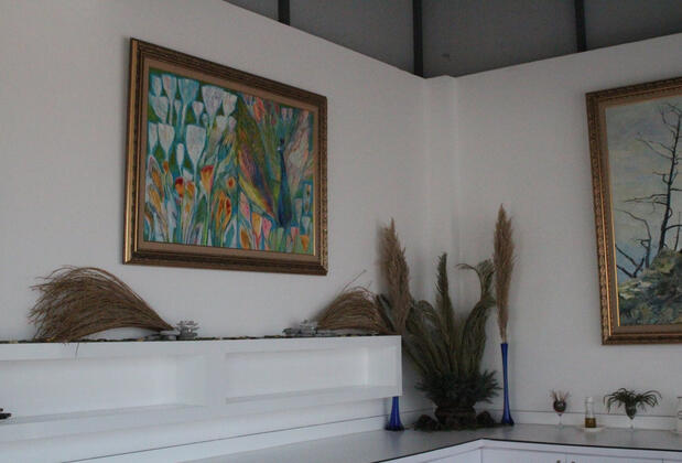 Bellapais Oasis Hotel - Görsel 19