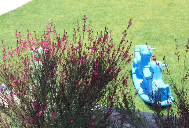 Bellapais Oasis Hotel - Görsel 34