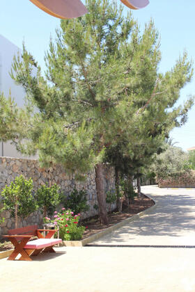 Bellapais Oasis Hotel - Görsel 36