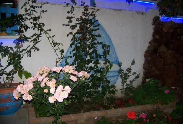 Kuşadası Guest House - Görsel 31