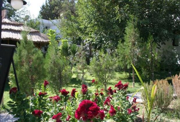 Flora Mandarin Apart - Görsel 5