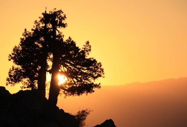 St. Paul Pansiyon - Görsel 41