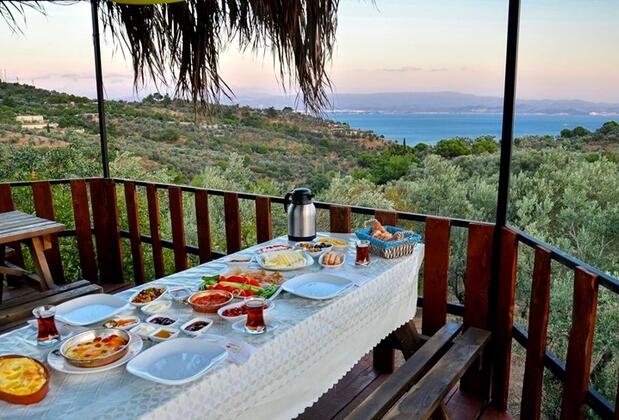 Çınar Avlu Köy Evi - Görsel 7