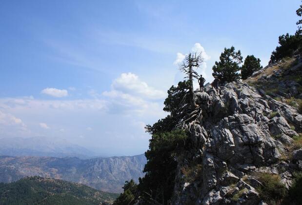 St. Paul Pansiyon - Görsel 31