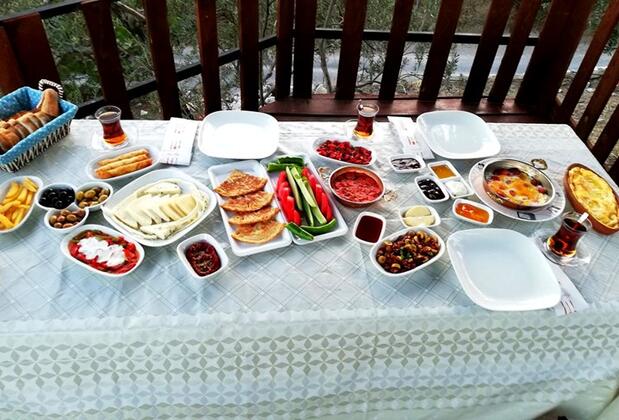 Çınar Avlu Köy Evi - Görsel 3