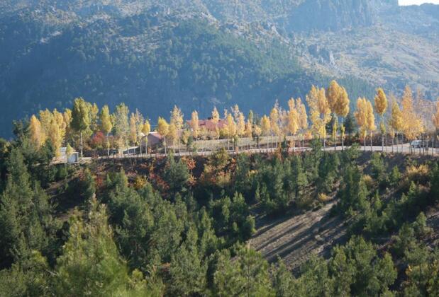 St. Paul Pansiyon - Görsel 45