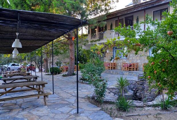 Çınar Avlu Köy Evi - Görsel 6