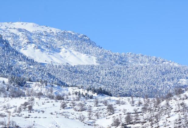 St. Paul Pansiyon - Görsel 14