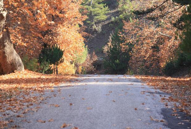 St. Paul Pansiyon - Görsel 38