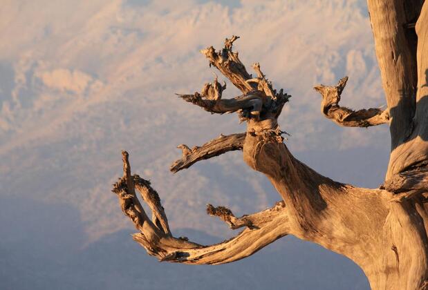 St. Paul Pansiyon - Görsel 12