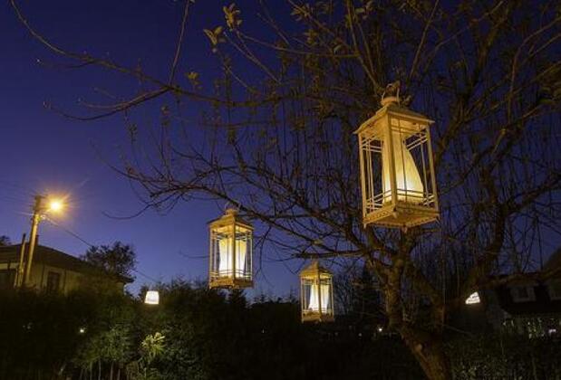 Sapanca Villa Pera - Görsel 11