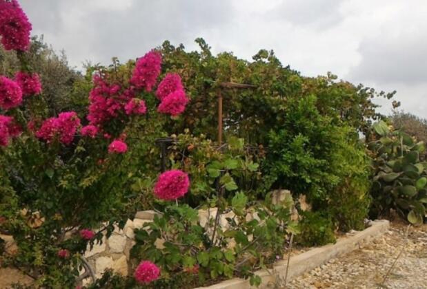 Evim Hotel - Görsel 38