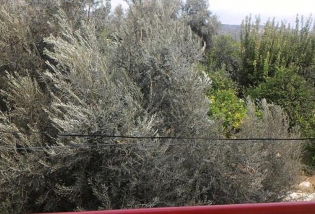 Evim Hotel - Görsel 41