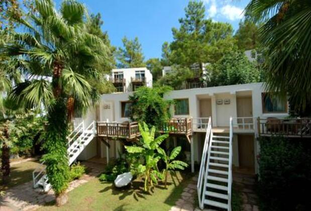 NG Phaselis Bay - Görsel 4