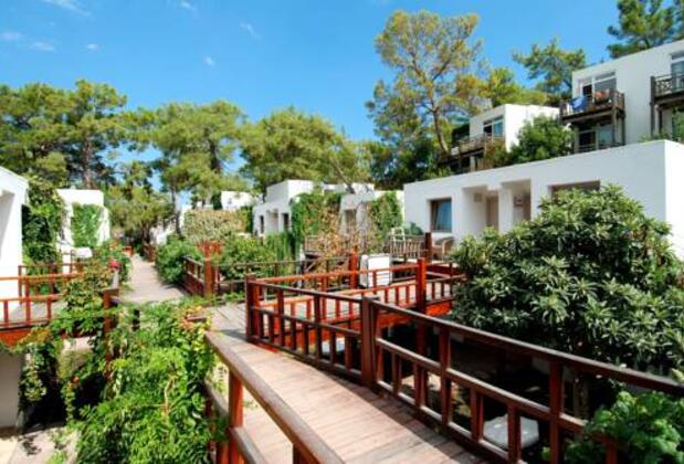 NG Phaselis Bay - Görsel 3