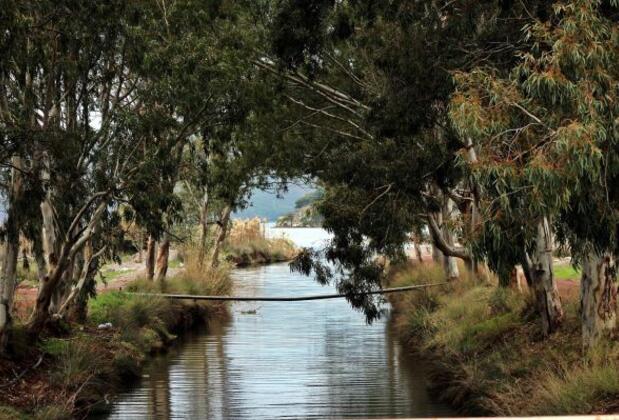 Ceylan Apart Turgut Köyü - Görsel 4