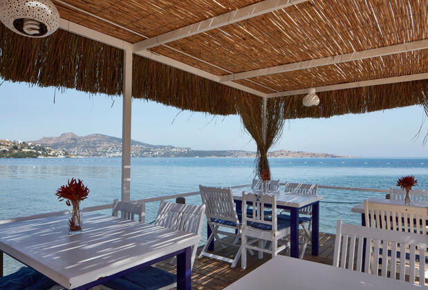 Palmiye Beach Bodrum - Görsel 5