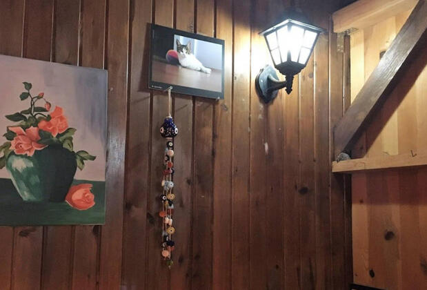 İrene Villas - Görsel 11