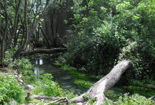 İrene Villas - Görsel 20