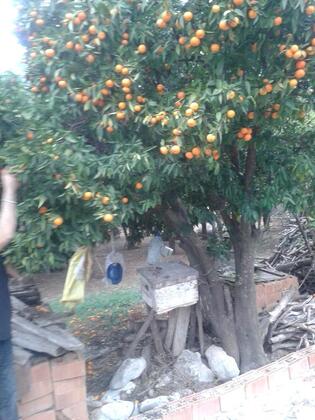 Otel 47 - Görsel 27