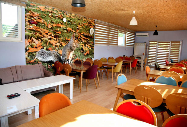 Evcek Köy Yaşam Alanı - Görsel 19