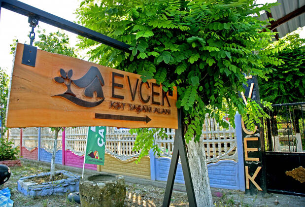 Evcek Köy Yaşam Alanı - Görsel 14