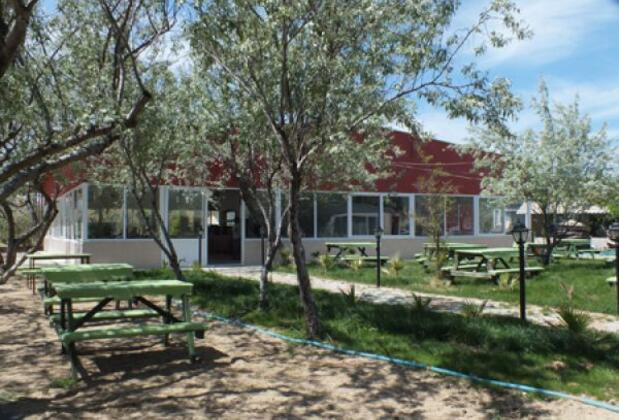 Nuri'nin Yeri Urla - Görsel 27