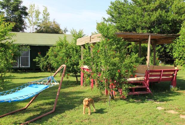 Esralina Pansiyon - Görsel 40