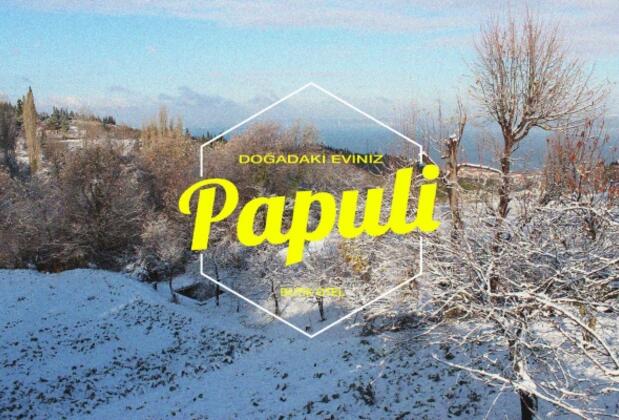 Papuli Butik Otel - Görsel 16