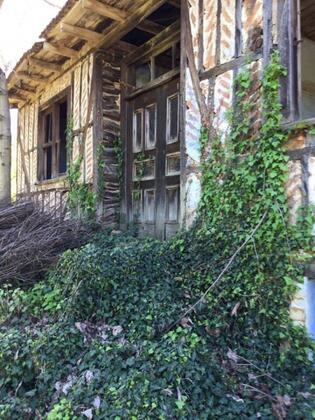 Papuli Butik Otel - Görsel 5