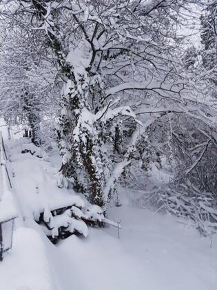 Papuli Butik Otel - Görsel 21