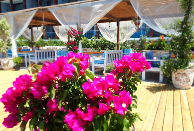 Moonlight Butik Otel Marmaris - Görsel 22