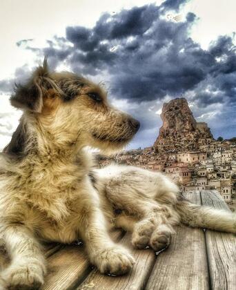 Queen's Cave Cappadocia - Görsel 4