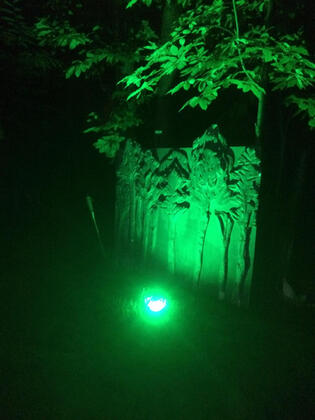 Patica Park - Görsel 3