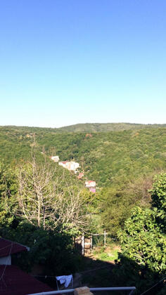 Patica Park - Görsel 4