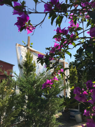 Patica Park - Görsel 8