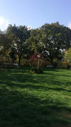 Patica Park - Görsel 17